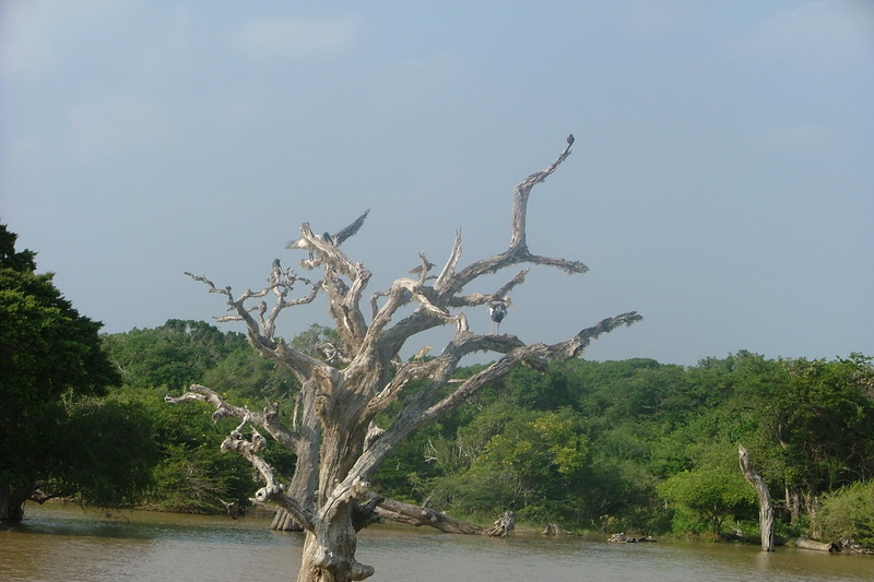 Sri Lanka, Yala National Park